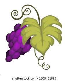 Grape bunch isolated icon, winemaking and fruit harvest