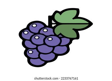 grape bunch and leaf vector colored