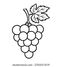 Grape Bunch Line Art Drawing: Fruit Coloring Page Illustration