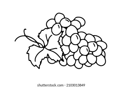 Grape bunch outline. A simple sketch drawing.