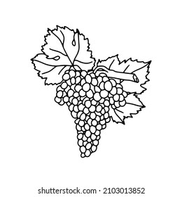 Grape bunch outline. A simple sketch drawing.