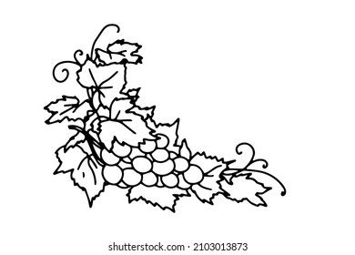 Grape bunch outline. A simple sketch drawing.