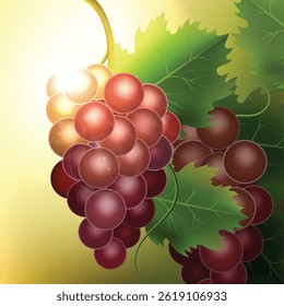 Grape. Bunch of red grapes vector illustration