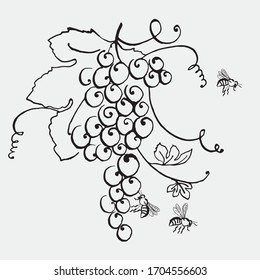 grape bunch sketch for wine label or poster. vector hand drawn illustration