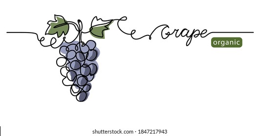 Grape bunch vector illustration. One continuous line drawing art illustration with lettering organic grape.