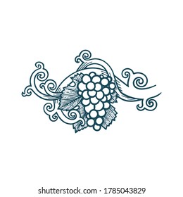 Grape bunch, vine and leafs. Grapevine vintage style hand drawn vector illustration. Part of set.