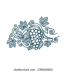 Grape bunch, vine and leafs. Grapevine vintage style hand drawn vector illustration. Part of set.