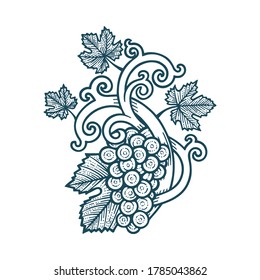 Grape bunch, vine and leafs. Grapevine vintage style hand drawn vector illustration. Part of set.