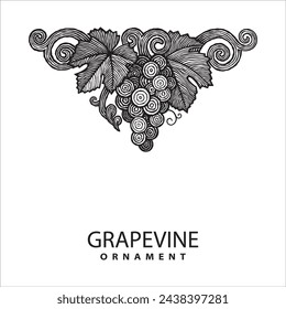 Grape bunch vintage style hand drawing illustration. 