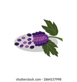 Grape bunches Fruit Flat color and leaves illustration