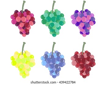 Grape bunches isolated on white background. Vector illustration.