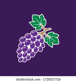 Grape bunches and leaves, vector illustration