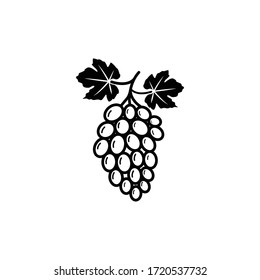 Grape bunches and leaves, vector illustration