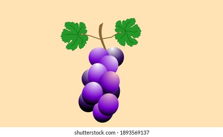 Grape bunches and leaves, vector illustration