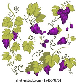 Weinberge, Weinblätter und Zweige, Weinberge und Weinbau, einzelne Symbole Vektorgrafik. Landwirtschaftliche Ernte, Weinbauindustrie, Obstbau. Landwirtschaft und Weinbau, Weinbauerzeugnisse