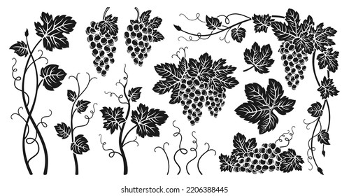 Grape Bunches Vine And Leaves Engraved Set. Sketch Ink Hand Drawn Vintage Outline Wine Grapes. Antique Design Berry. Sketches For Wine Packing, Label, Pattern, Menu, Invitation Card, Poster, Cover