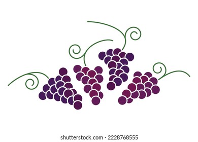 Grape bunches, wine label icon set, different wine grapes, grape big bunch fruit, color isolated on white background, vector illustration.
