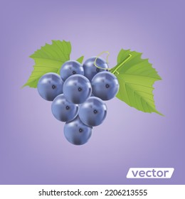 Grape cartoon 3d vector icon. black muscatel grape benches.