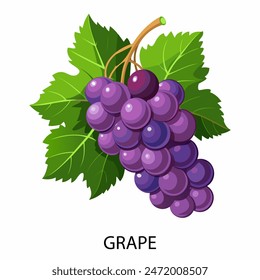 Grape in cartoon style on a white background. Vector illustration.