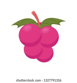 grape cartoon vector. logo design. symbol.