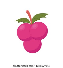 grape cartoon vector. logo design. symbol.