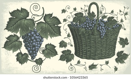 Grape cluster and a basket of grapes. Design set. Hand drawn engraving. Vector vintage illustration. 8 EPS