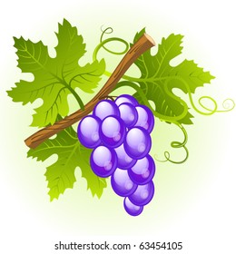 Grape cluster with green leaves