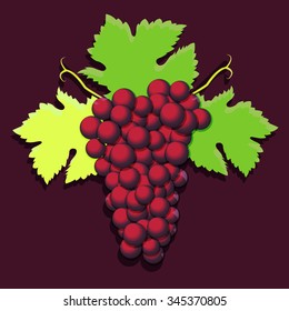 Grape cluster with green leaves. Vector illustration.