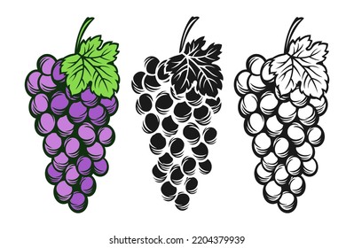 Grape cluster and leaf monochrome vintage set. Sketch ink hand drawn outline wine grapes. Antique engraving design berry. Sketches for wine packing, label, pattern, menu, invitation card, poster cover