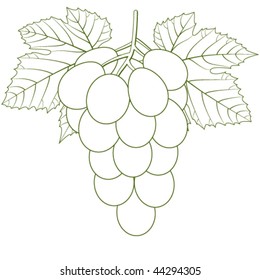 grape cluster - sign, symbol