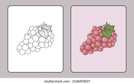 grape coloring book or educational pages for kids