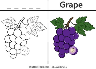 Grape coloring pages for kids and learning to recognize letters, fruit recognition cards, media for various games in early childhood learning