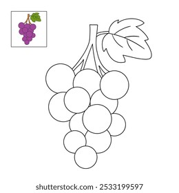 Grape coloring pages for kids. Trace and color grape. Grape line art vector for coloring books. Kindergarten and preschool worksheets printable for kids. 