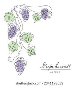 
Grape. Continuous line drawing grapevine. Illustration of autumn harvest fruits. Frame.