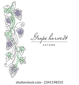 
Grape. Continuous line drawing grapevine. Illustration of autumn harvest fruits. Frame.