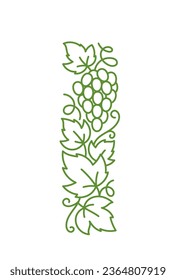 Grape design element. Vine leaves. Editable outline stroke. Vector line.