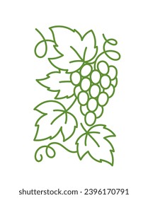 Grape design element. Vine leaves. Editable outline stroke. Vector line.