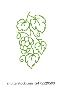 Grape design element. Vine leaves. Editable outline stroke. Vector line.