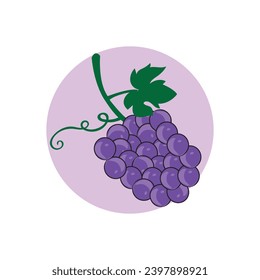 Grape design icon vector illustration