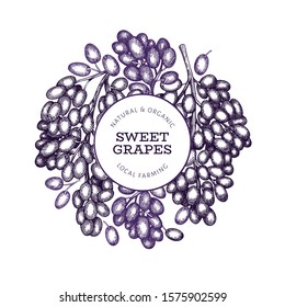 Grape design template. Hand drawn vector grape berry illustration. Engraved style vintage botanical banner.
