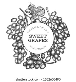 Grape design template. Hand drawn vector grape berry illustration. Engraved style vintage botanical banner.