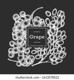 Grape design template. Hand drawn vector grape berry illustration on chalk board. Engraved style retro botanical banner.