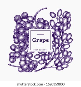 Grape design template. Hand drawn vector grape berry illustration. Engraved style vintage botanical banner.