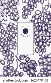Grape design template. Hand drawn vector grape berry illustration. Engraved style vintage botanical banner.