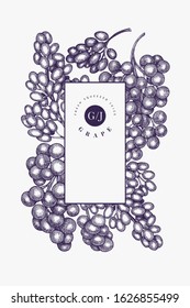 Grape design template. Hand drawn vector grape berry illustration. Engraved style vintage botanical banner.