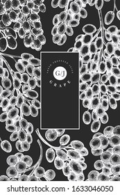 Grape design template. Hand drawn vector grape berry illustration on chalk board. Engraved style retro botanical banner.