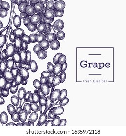 Grape design template. Hand drawn vector grape berry illustration. Engraved style vintage botanical banner.
