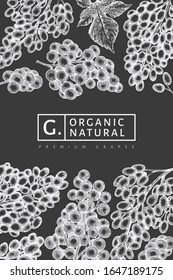 Grape design template. Hand drawn vector grape berry illustration on chalk board. Engraved style vintage botanical banner.