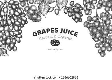 Grape design template. Hand drawn vector grape berry illustration. Engraved style vintage botanical banner.