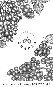 Grape design template. Hand drawn vector grape berry illustration. Engraved style vintage botanical banner.